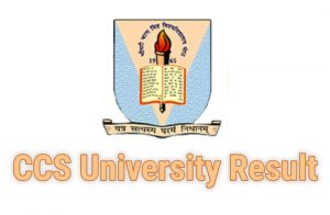 ccs university result