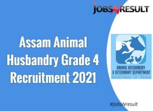 Assam Animal Husbandry Grade 4 Recruitment 2021 Assam AHVD Apply Online 507  Vacancies