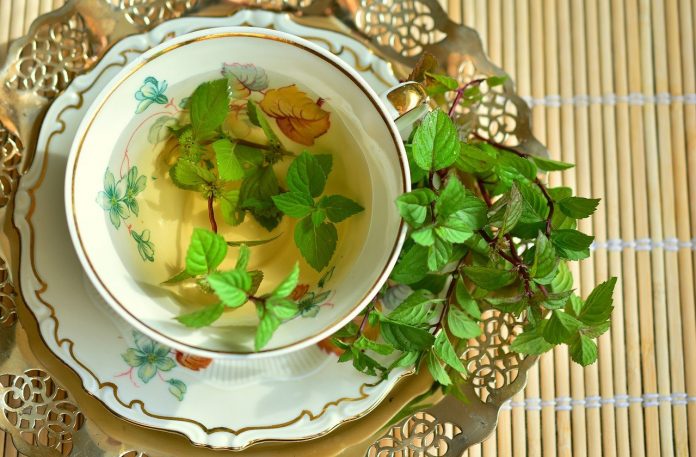 benefits of mint tea