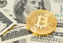 6 Top Crypto Trading Strategies You Should Know