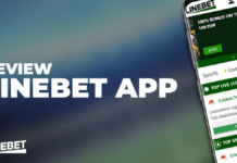 Evaluation of the LineBet Mobile Application