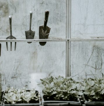 4 Garden Tools You Need To Get in 2025 black cement trowels placed on near window