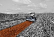 The Role of Forestry Mulchers in Sustainable Vegetation Management