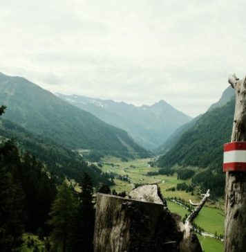 Alpine Wellness Retreats: The Rise of Health Tourism in the Mountains A tree with a red and white stripe on it