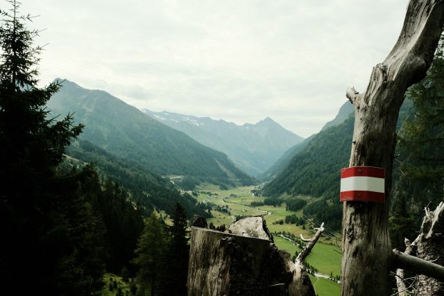 Photo by Toru Wa A tree with a red and white stripe on it